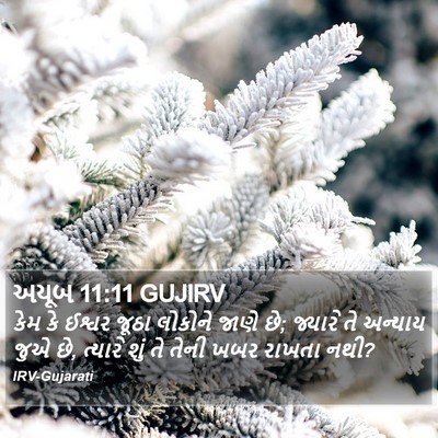 અયૂબ 11:11 GUJIRV Bible Verse Image