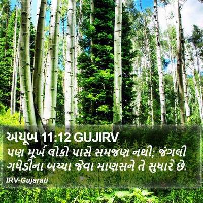 અયૂબ 11:12 GUJIRV Bible Verse Image
