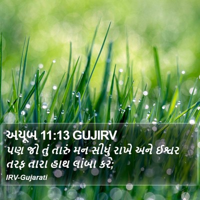 અયૂબ 11:13 GUJIRV Bible Verse Image