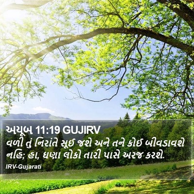 અયૂબ 11:19 GUJIRV Bible Verse Image