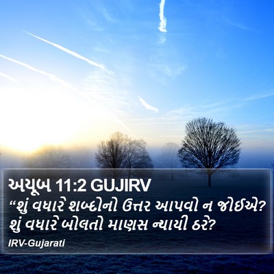 અયૂબ 11:2 GUJIRV Bible Verse Image