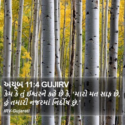 અયૂબ 11:4 GUJIRV Bible Verse Image
