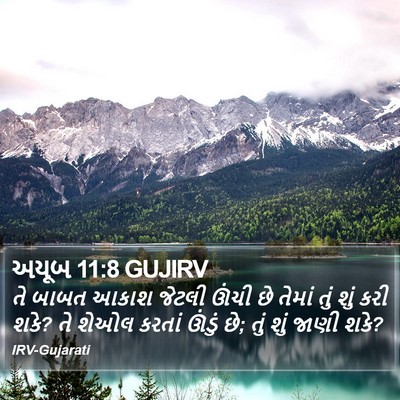 અયૂબ 11:8 GUJIRV Bible Verse Image