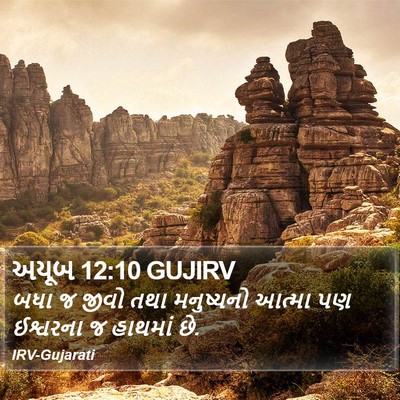 અયૂબ 12:10 GUJIRV Bible Verse Image