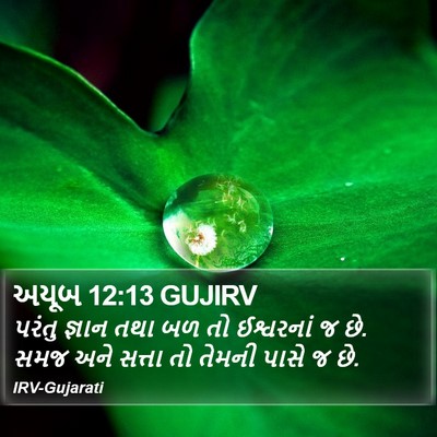 અયૂબ 12:13 GUJIRV Bible Verse Image