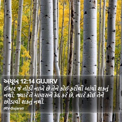 અયૂબ 12:14 GUJIRV Bible Verse Image
