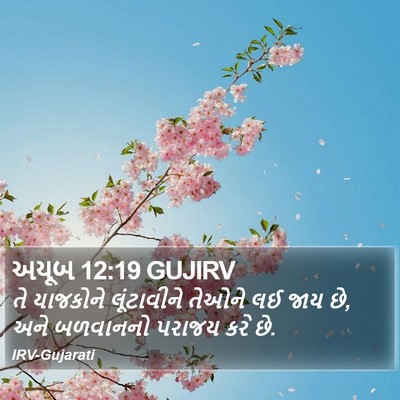 અયૂબ 12:19 GUJIRV Bible Verse Image