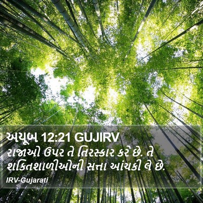 અયૂબ 12:21 GUJIRV Bible Verse Image