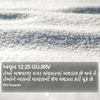 અયૂબ 12:25 GUJIRV Bible Verse Image