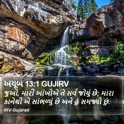 અયૂબ 13:1 GUJIRV Bible Verse Image