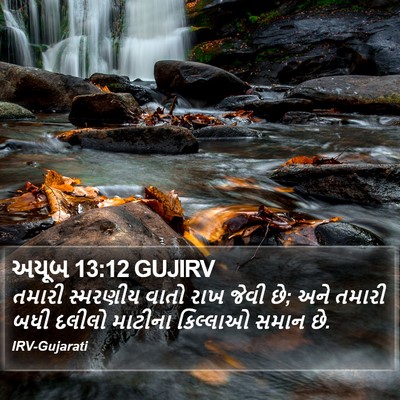અયૂબ 13:12 GUJIRV Bible Verse Image