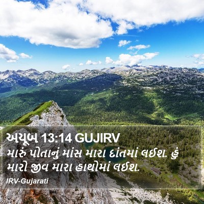 અયૂબ 13:14 GUJIRV Bible Verse Image