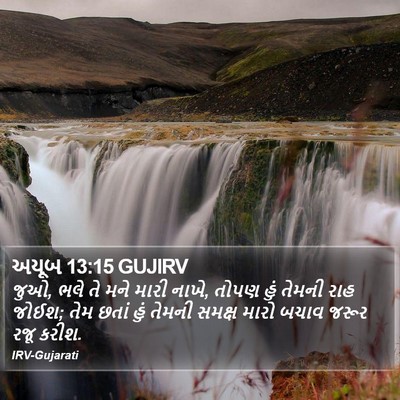 અયૂબ 13:15 GUJIRV Bible Verse Image