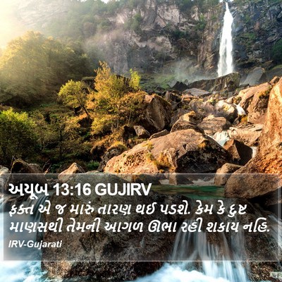 અયૂબ 13:16 GUJIRV Bible Verse Image