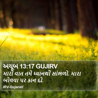 અયૂબ 13:17 GUJIRV Bible Verse Image