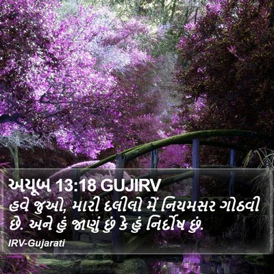 અયૂબ 13:18 GUJIRV Bible Verse Image