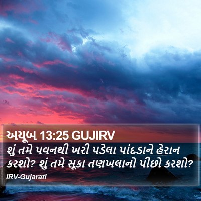 અયૂબ 13:25 GUJIRV Bible Verse Image