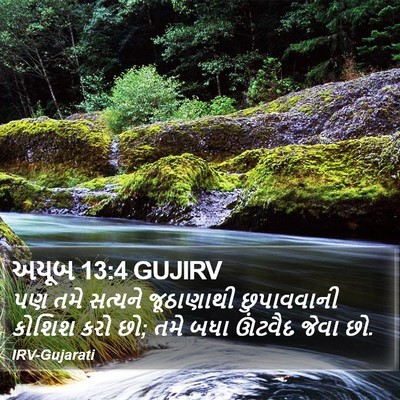 અયૂબ 13:4 GUJIRV Bible Verse Image