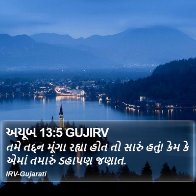 અયૂબ 13:5 GUJIRV Bible Verse Image
