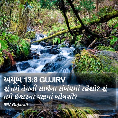 અયૂબ 13:8 GUJIRV Bible Verse Image