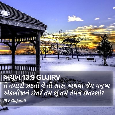 અયૂબ 13:9 GUJIRV Bible Verse Image