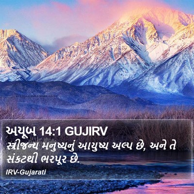 અયૂબ 14:1 GUJIRV Bible Verse Image