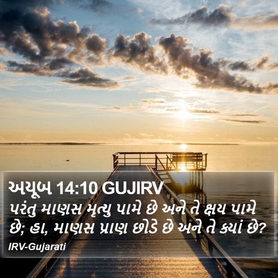 અયૂબ 14:10 GUJIRV Bible Verse Image