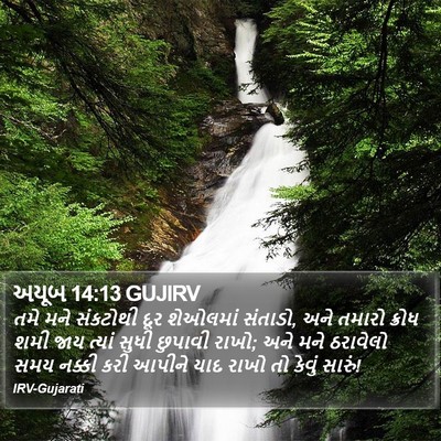 અયૂબ 14:13 GUJIRV Bible Verse Image