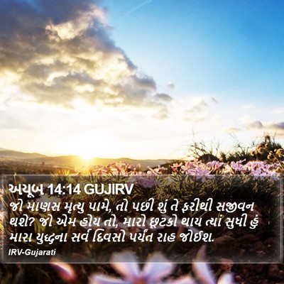 અયૂબ 14:14 GUJIRV Bible Verse Image