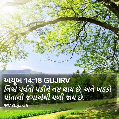 અયૂબ 14:18 GUJIRV Bible Verse Image