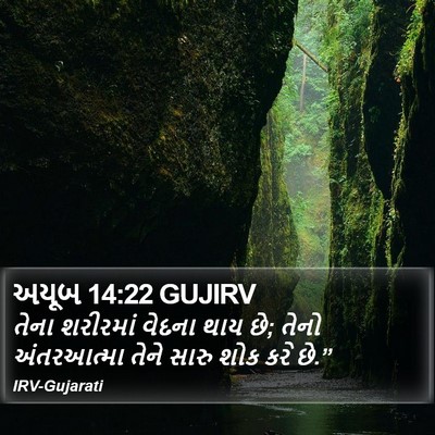 અયૂબ 14:22 GUJIRV Bible Verse Image