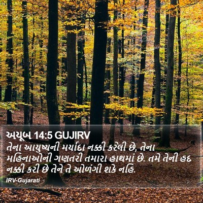 અયૂબ 14:5 GUJIRV Bible Verse Image