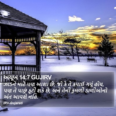 અયૂબ 14:7 GUJIRV Bible Verse Image