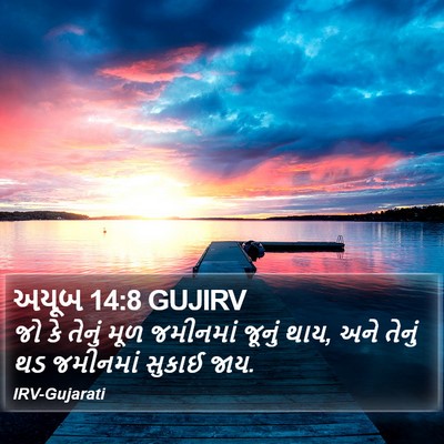 અયૂબ 14:8 GUJIRV Bible Verse Image