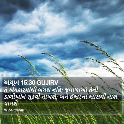 અયૂબ 15:30 GUJIRV Bible Verse Image