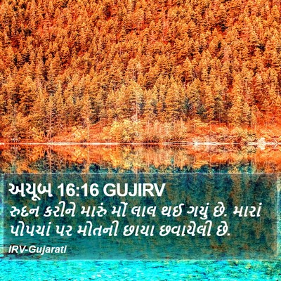 અયૂબ 16:16 GUJIRV Bible Verse Image