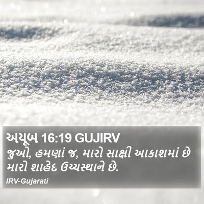 અયૂબ 16:19 GUJIRV Bible Verse Image