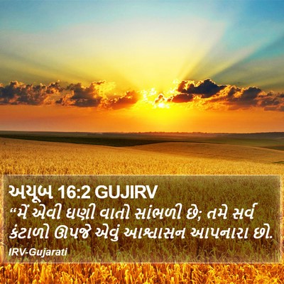 અયૂબ 16:2 GUJIRV Bible Verse Image