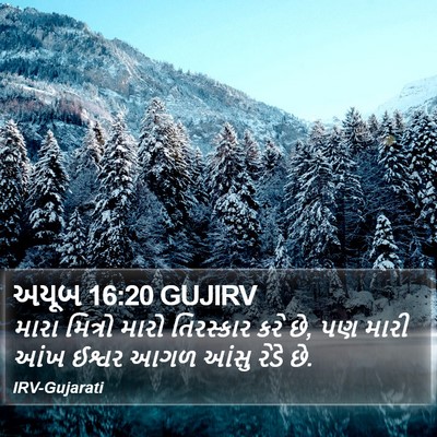 અયૂબ 16:20 GUJIRV Bible Verse Image