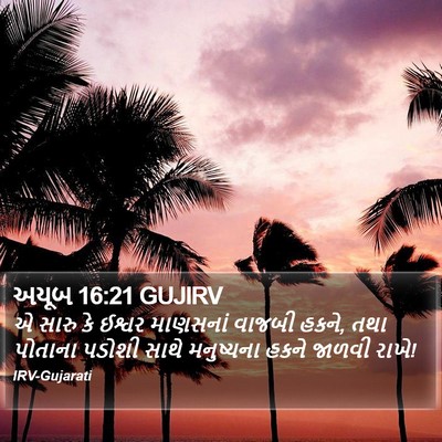અયૂબ 16:21 GUJIRV Bible Verse Image