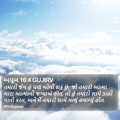 અયૂબ 16:4 GUJIRV Bible Verse Image