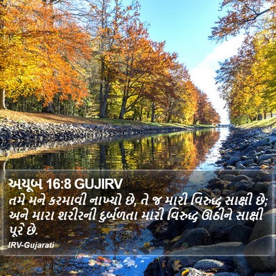 અયૂબ 16:8 GUJIRV Bible Verse Image