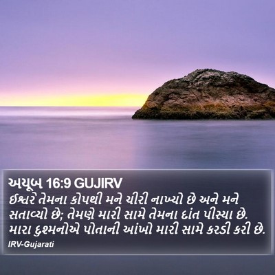 અયૂબ 16:9 GUJIRV Bible Verse Image