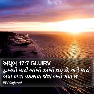અયૂબ 17:7 GUJIRV Bible Verse Image