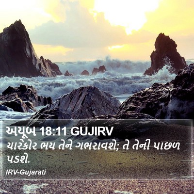 અયૂબ 18:11 GUJIRV Bible Verse Image