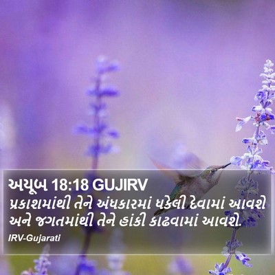 અયૂબ 18:18 GUJIRV Bible Verse Image