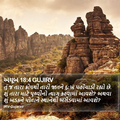 અયૂબ 18:4 GUJIRV Bible Verse Image