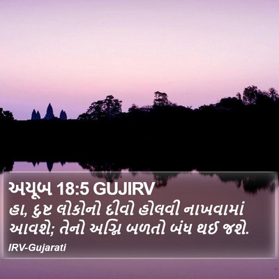 અયૂબ 18:5 GUJIRV Bible Verse Image