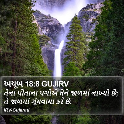 અયૂબ 18:8 GUJIRV Bible Verse Image