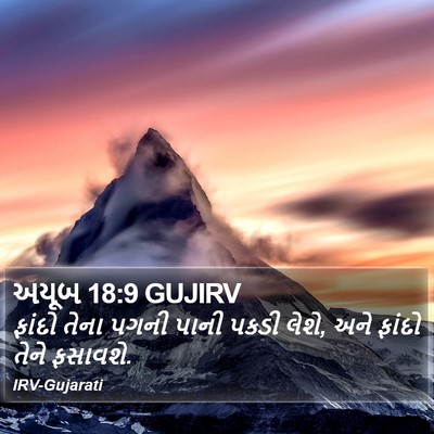અયૂબ 18:9 GUJIRV Bible Verse Image